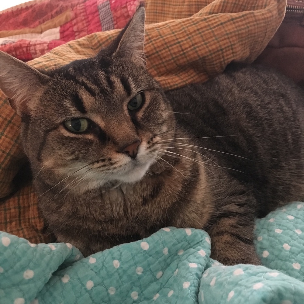 Meet your Posher, Megan